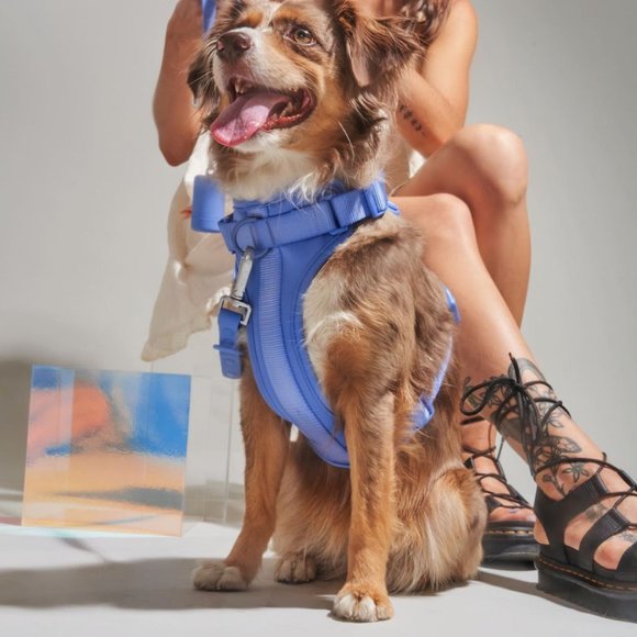 Wild One Dog Harness XS - Picture 3 of 7